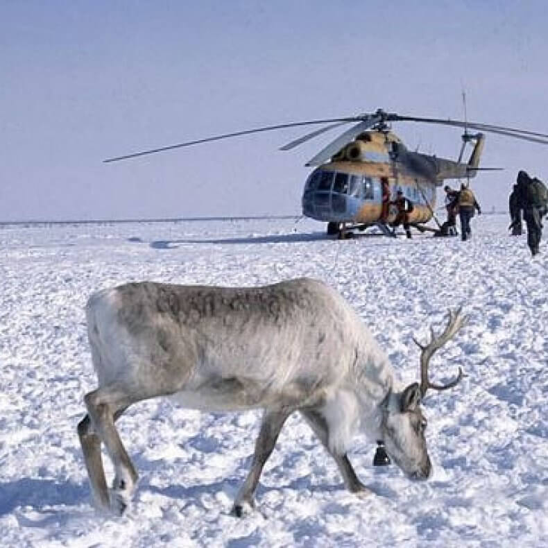 Отпуск в районах севера. Вахтовики на крайнем севере. Вахта крайний Север. Тундра вахта. Крайний Север новый Уренгой.