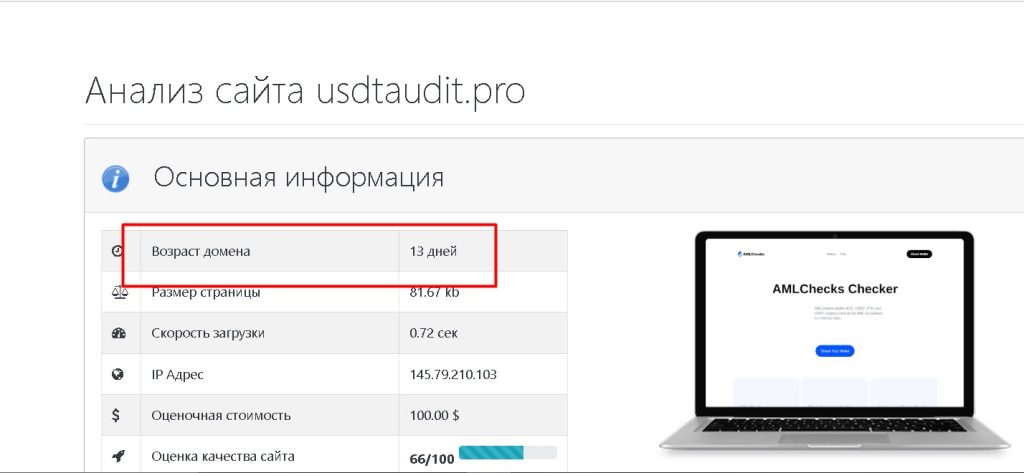 usdtaudit.pro проверка домена