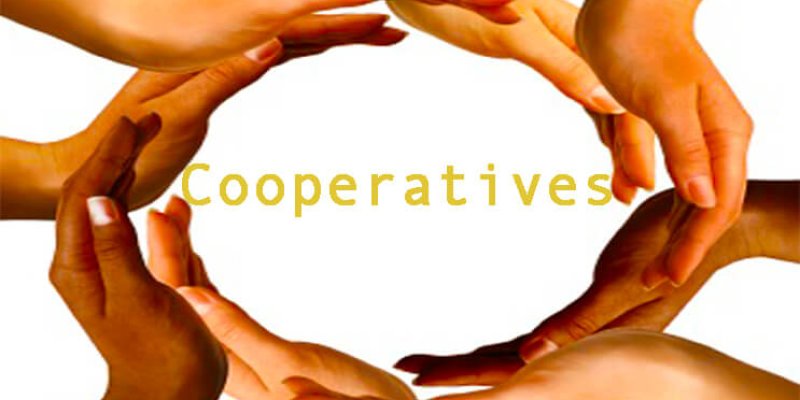 Что такое кредитный потребительский кооператив: задачи и виды